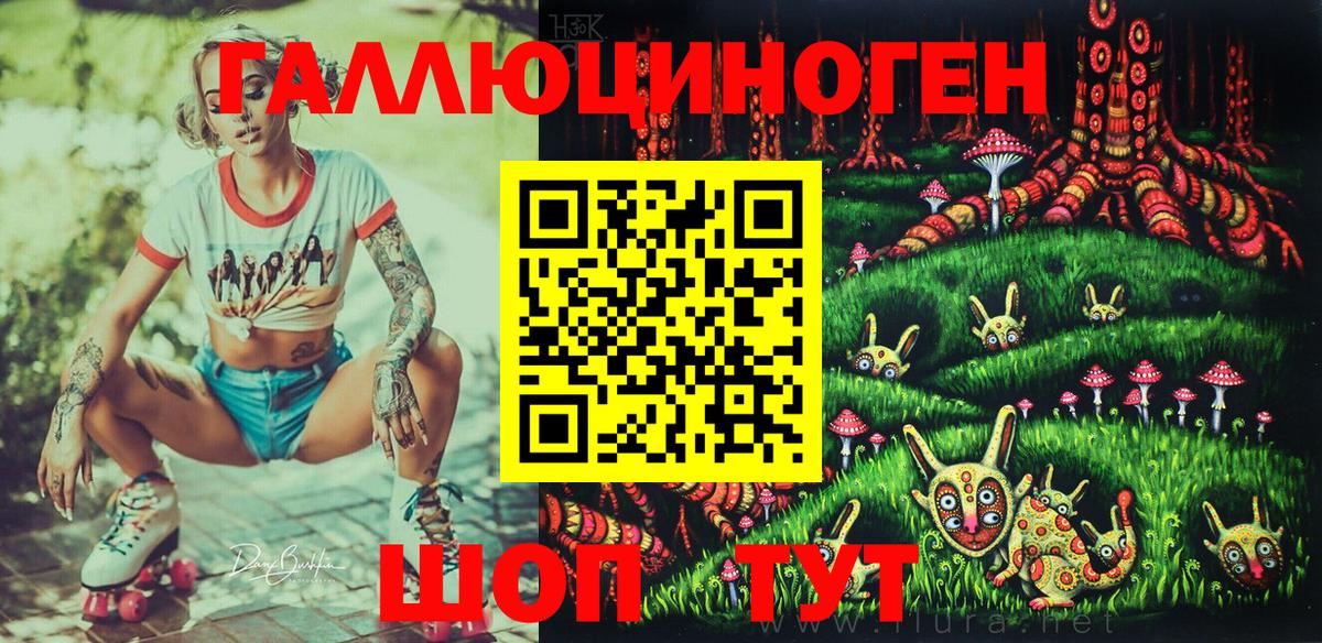Псилоцибиновые грибы GOLDEN TEACHER  Вход с VPN  продажа наркотиков  Хасавюрт 